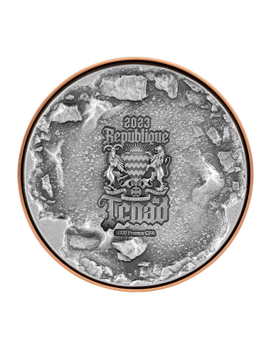AMMONITE FOSSIL EXCAVATION 1 Oz Silver & 11.5 Oz Copper Coin 5000 Francs Chad 2023 - Coins & More - Tchad