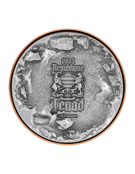 AMMONITE FOSSIL EXCAVATION 1 Oz Silver & 11.5 Oz Copper Coin 5000 Francs Chad 2023 - Coins & More - Tchad