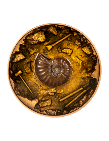 AMMONITE FOSSIL EXCAVATION 1 Oz Silver & 11.5 Oz Copper Coin 5000 Francs Chad 2023 - Coins & More - Tchad