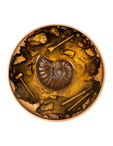 AMMONITE FOSSIL EXCAVATION 1 Oz Silver & 11.5 Oz Copper Coin 5000 Francs Chad 2023 - Coins & More - Tchad