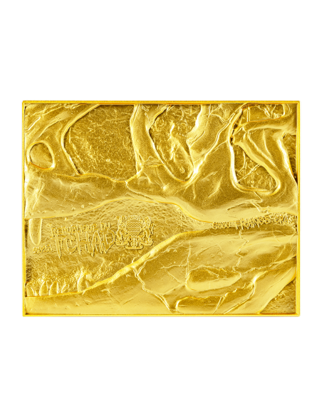 TYRANNOSAURUS REX FOSSIL Gilded 1 Oz Silver & 14 Oz Copper Coin 5000 Francs Chad 2023 - Coins & More - Tchad