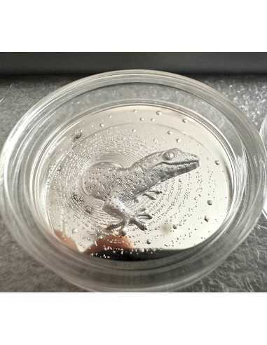 HERPETON GECKO 2 Oz Silver Coin 2000 Francs CFA Cameroon 2023 - Coins & More - Camerún