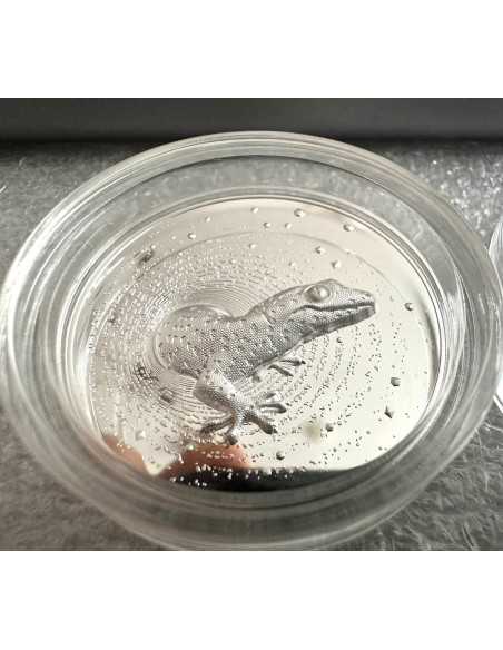 HERPETON GECKO 2 Oz Silver Coin 2000 Francs CFA Cameroon 2023 - Coins & More - Camerún