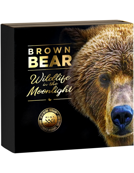 BROWN BEAR Wildlife in the Moonlight 2 Oz Silver Coin 5$ Niue 2023 - Coins & More - Africa