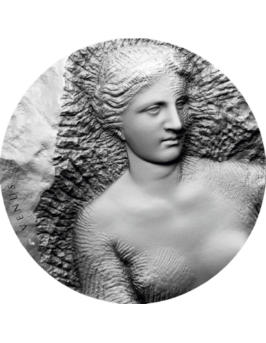 VENUS DE MILO 2 Oz Silver Coin 5$ Niue 2023 - Coins & More - Niue