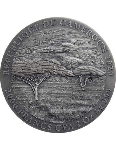PANTHERA LEO Expressions of Wildlife 2 Oz Silver Coin 2000 Francs Cameroon 2020 - Coins & More - Cameroun