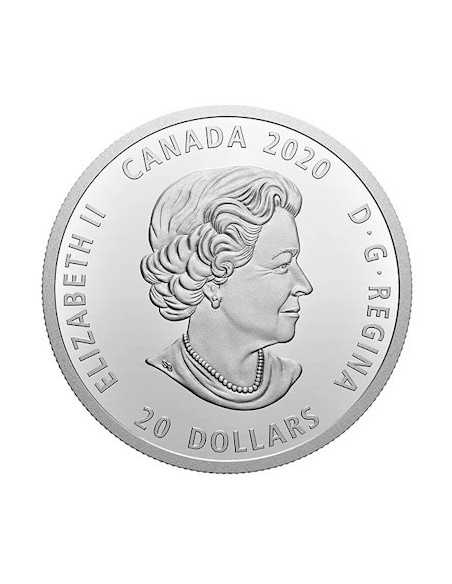 OUR EARTH 1 Oz Glow In Dark silver coin 20$ CAD Canada 2020 - Coins & More - Canada