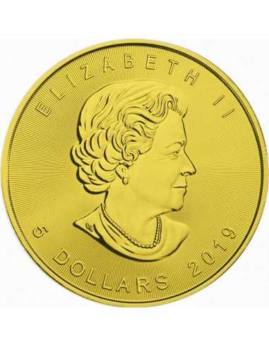 DIGITAL RAIN MAPLE LEAF 1 Oz Silver & gold plated 5$ Dollars coin Canada 2019 - Coins & More - Canada