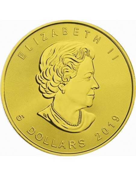 DIGITAL RAIN MAPLE LEAF 1 Oz Silver & gold plated 5$ Dollars coin Canada 2019 - Coins & More - Canada
