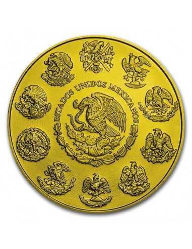 NOTRE-DAME DE GUADALUPE 2 Oz Gold and Silver Libertad Coin Mexico 2019 - Coins & More - Mexique