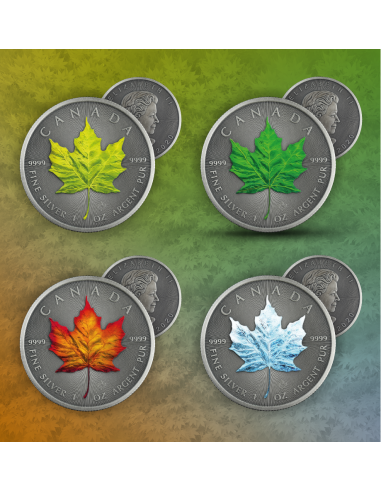 AUTOMNE - FOUR SEASONS 1 Oz Silver coin 5$ Canada Maple Leaf 2020 - Coins & More - Canada