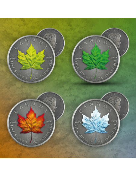 AUTUMN - FOUR SEASONS 1 Oz Silver coin 5$ Canada Maple Leaf 2020 - Coins & More - Canada