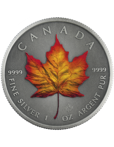 AUTUNNO - FOUR SEASONS 1 Oz Silver coin 5$ Canada Maple Leaf 2020 - Coins & More - Canada