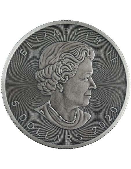 AUTOMNE - FOUR SEASONS 1 Oz Silver coin 5$ Canada Maple Leaf 2020 - Coins & More - Canada