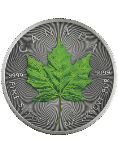 ÉTÉ - FOUR SEASONS 1 Oz Silver coin 5$ Canada Maple Leaf 2020 - Coins & More - Canada