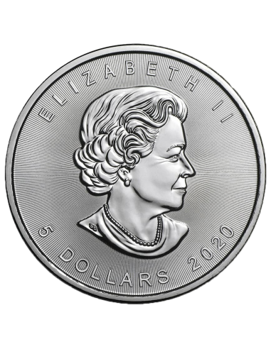 MYSTIC SILENCE - HALLOWEEN 2020 1oz Canadian Silver Colorized Maple Leaf coin - Coins & More - Canada