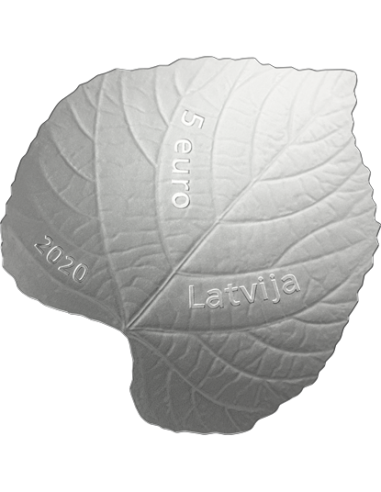 LINDEN LEAF Silver Coin 5€ Euro Latvia 2020 - Coins & More - Europa
