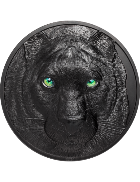 BLACK PANTHER Hunters By Night 1 Kg Kilo Silver Coin 50$ Palau 2021 - Coins & More - Palau