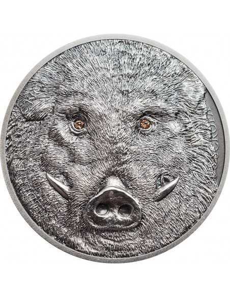 WILD BOAR Sus Scrofa Wildlife Protection 1 Oz Silver Coin 500 Togrog Mongolia 2018 - Coins & More - Mongolie
