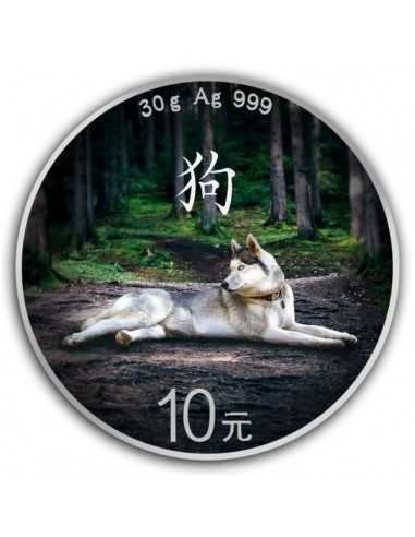 LUNAR DOG Panda Colorized Silver Coin 10 Yuan China 2018 - Coins & More - Chine