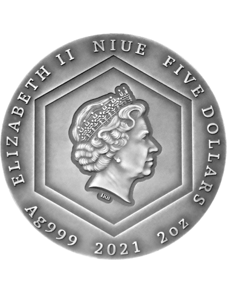 HONEY BEE 2 Oz Silver Coin 5$ Niue 2021 - Coins & More - Niue