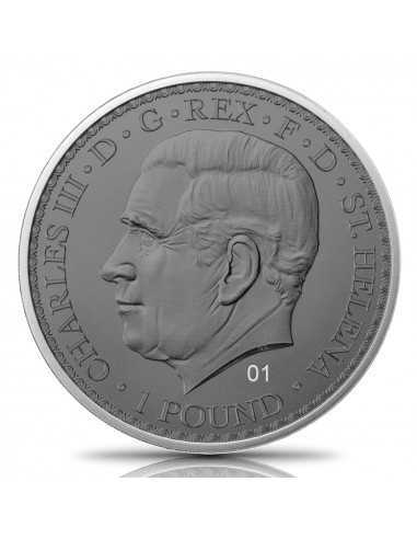 UNA AND THE LION 3 Metals His Majesty 1 Oz Silver Coin 1 Pound Saint Helena 2023 - Coins & More - Afrique