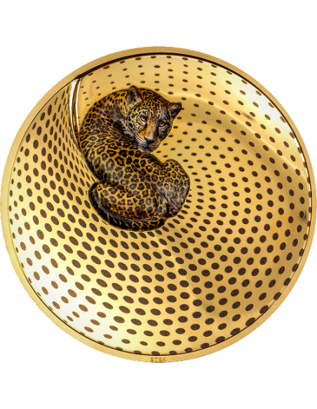 LEOPARD Camouflage of Nature Gilded 5 Oz Silver Coin 20$ Palau 2024 - Coins & More - Palau
