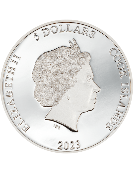 CHAMELEON Eclectic Nature 1 Oz Silver Coin 5$ Cook Islands 2023 - Coins & More - Îles Cook