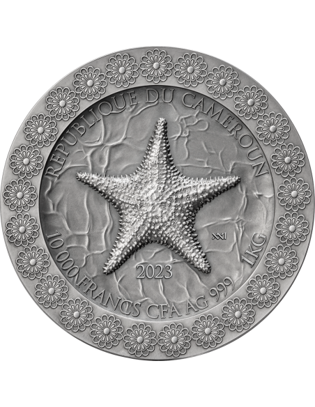 ABDUCTION OF EUROPA Celestial Beauty 1 Kg Kilo Silver Coin 10000 Francs Cameroon 2023 - Coins & More - Cameroun