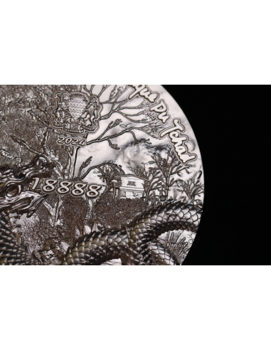 SCALED DRAGON 9 Dragons Series Summer Version 5 Oz Silver Coin 18888 Francs Chad 2024 - Coins & More - Tchad