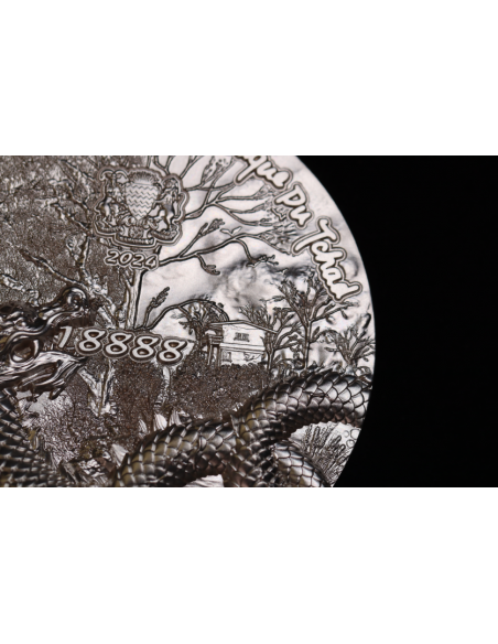 SCALED DRAGON 9 Dragons Series Summer Version 5 Oz Silver Coin 18888 Francs Chad 2024 - Coins & More - Tchad