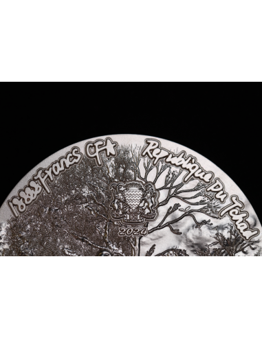 SCALED DRAGON 9 Dragons Series Summer Version 5 Oz Silver Coin 18888 Francs Chad 2024 - Coins & More - Tchad