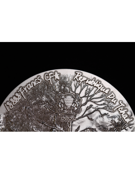 SCALED DRAGON 9 Dragons Series Summer Version 5 Oz Silver Coin 18888 Francs Chad 2024 - Coins & More - Tchad