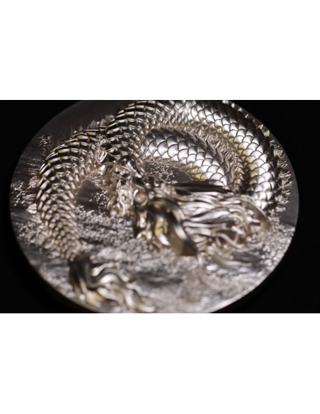 SCALED DRAGON 9 Dragons Series Summer Version 5 Oz Silver Coin 18888 Francs Chad 2024 - Coins & More - Tchad