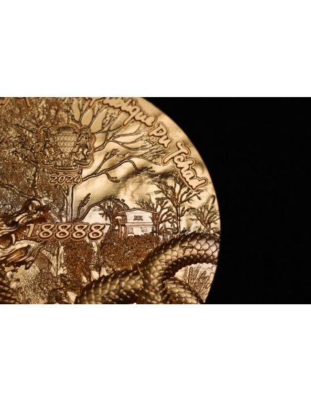 SCALED DRAGON 9 Dragons Series Autumn Version 5 Oz Silver Coin 18888 Francs Chad 2024 - Coins & More - Tchad
