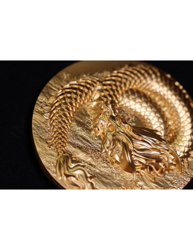 SCALED DRAGON 9 Dragons Series Autumn Version 5 Oz Silver Coin 18888 Francs Chad 2024 - Coins & More - Tchad