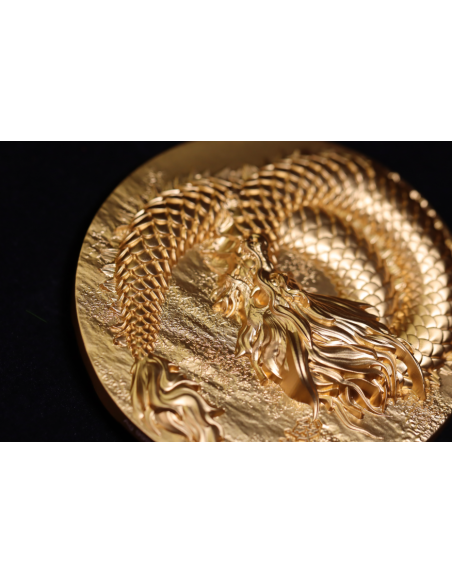 SCALED DRAGON 9 Dragons Series Autumn Version 5 Oz Silver Coin 18888 Francs Chad 2024 - Coins & More - Tchad