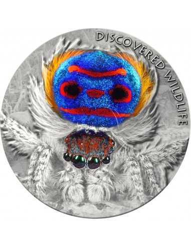 PEACOCK SPIDER Discovered Wildlife Silver Coin 2$ Niue 2021 - Coins & More - Niue