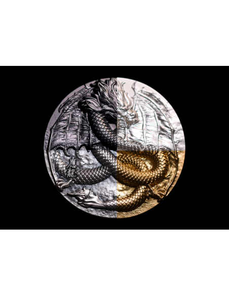 WINGED DRAGON OF WISDOM 9 Dragons Series 5 Oz Silver Coin 18888 Francs Chad 2024 - Coins & More - Tchad
