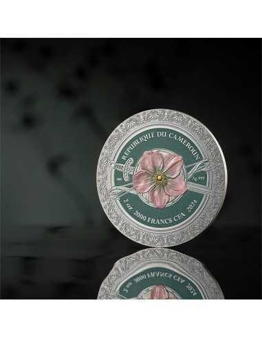 AMAZON Femina Bellator 2 Oz Silver Coin 2000 Francs CFA Cameroon 2024 - Coins & More - Camerun