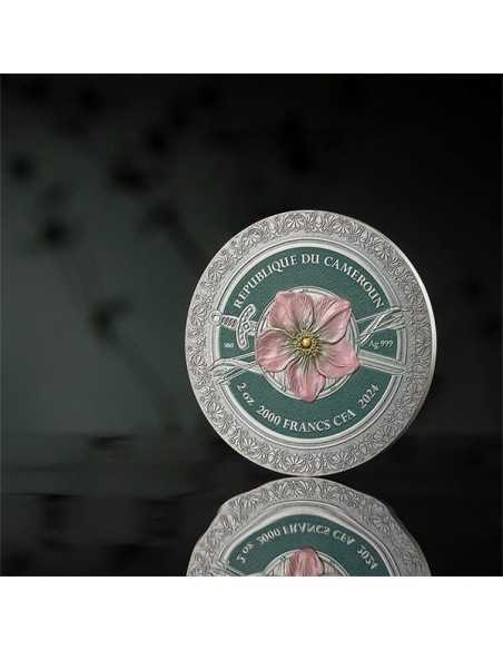 AMAZON Femina Bellator 2 Oz Silver Coin 2000 Francs CFA Cameroon 2024 - Coins & More - Camerun