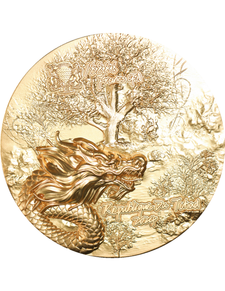 AZURE DRAGON Celestial Gold Gilded 9 Dragons Series 5 Oz Silver Coin 18888 Francs Chad 2024 - Coins & More - Chad
