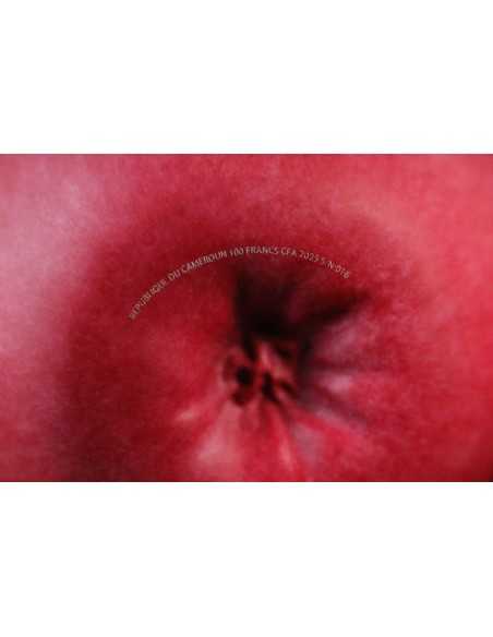 MELA 400g Moneta di rame 100 Franchi CFA Camerun 2025 - Coins & More - Camerun