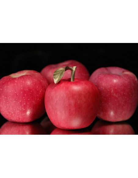 MELA 400g Moneta di rame 100 Franchi CFA Camerun 2025 - Coins & More - Camerun