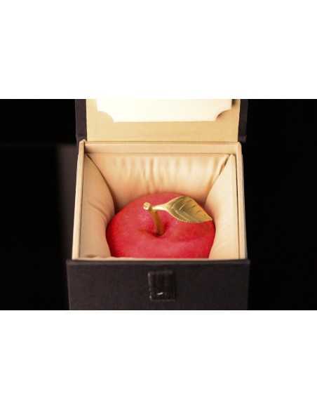 APPLE 400g Kupfermünze 100 Francs CFA Kamerun 2025 - Coins & More - Kamerun