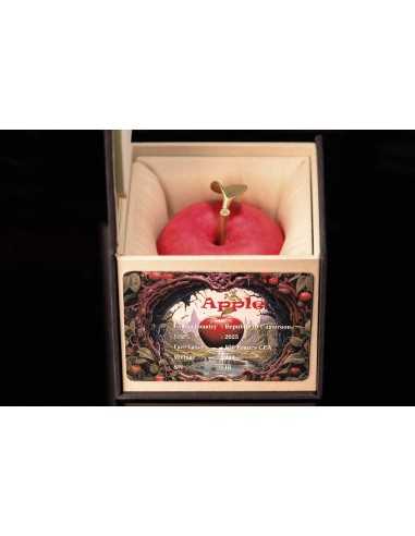 MELA 400g Moneta di rame 100 Franchi CFA Camerun 2025 - Coins & More - Camerun