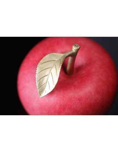 MANZANA 400g Moneda de Cobre 100 Francos CFA Camerún 2025 - Coins & More - Camerún