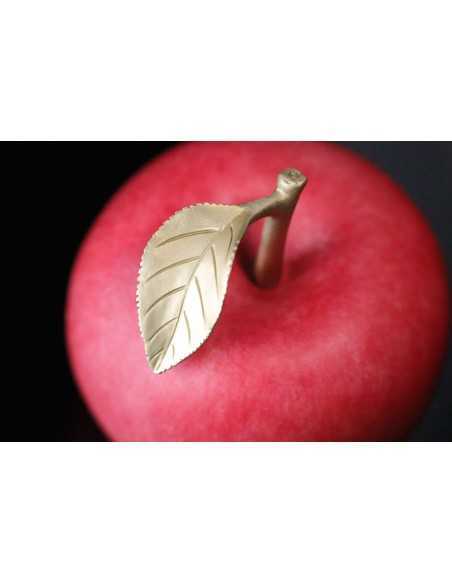 MANZANA 400g Moneda de Cobre 100 Francos CFA Camerún 2025 - Coins & More - Camerún