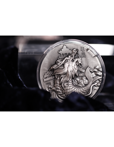 AO DRAGON 5 Oz Antique Finish Silver Coin 12$ Dollars Niue 2024 - Coins & More - Chad