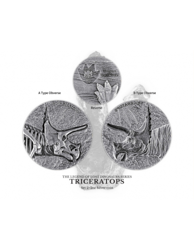 TRICERATOPS The Legend of Lost Dinosaurs 2x 2 Oz Silver Coin 10000 Francs Chad 2024 - Coins & More - Chad